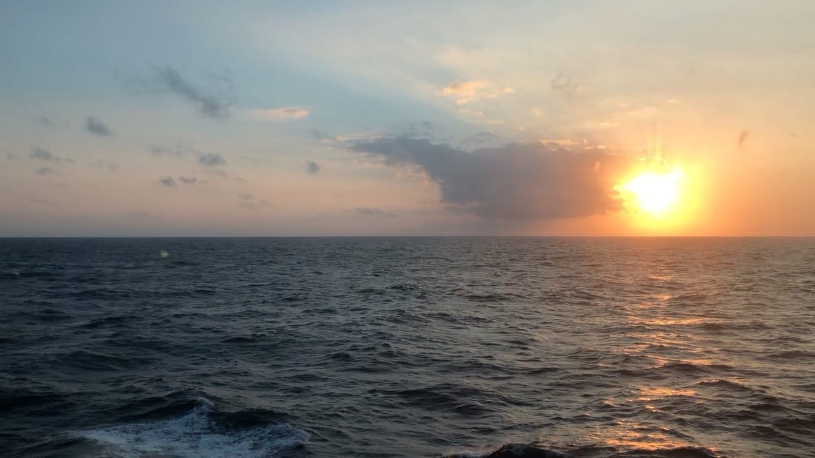 Disney Wonder / Corporate Cruise 2019