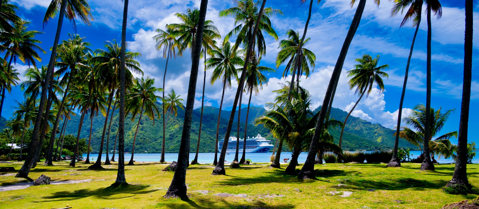 2022 - 28 Days Hawaii / Tahiti Cruise